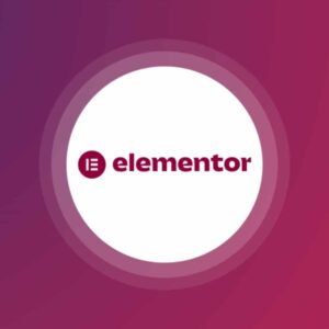 Elementor Pro Plugin with License Key - Codes Bazaar